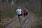 V Bieg i Nordic Walking „Szukamy Bociana” z leśnym akcentem