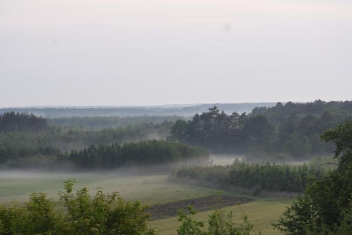 Panorama&#x20;lasu&#x20;i&#x20;łąk&#x20;śródleśnych